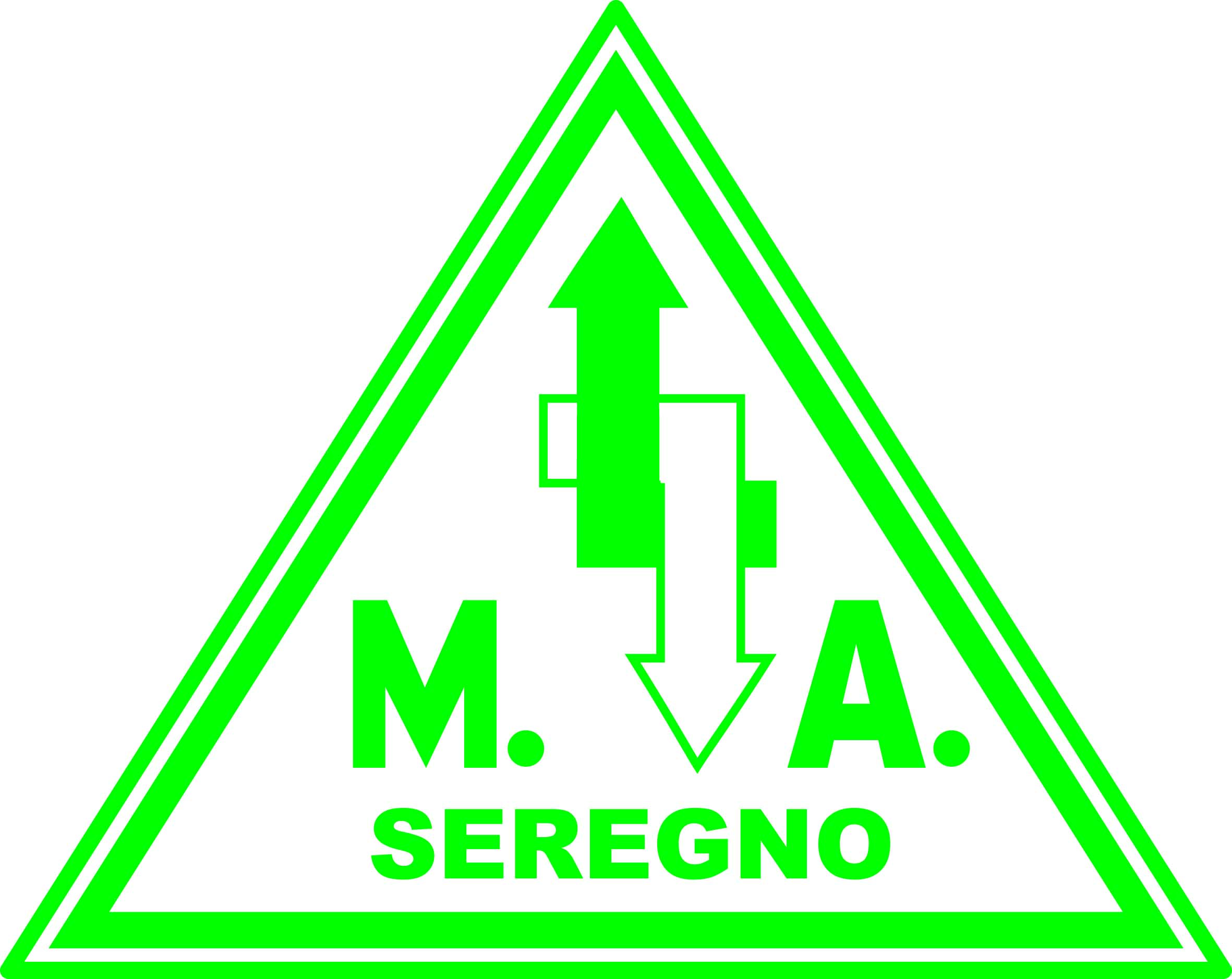 MARIANI AMLETO DI ALBERTO E MASSIMILIANO MARIANI SNC