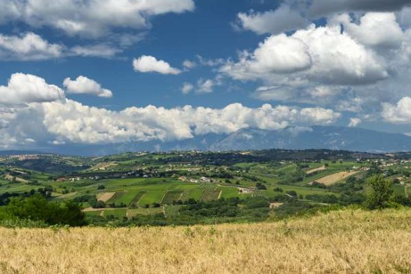 Seminari regionali Anacam: il 5 maggio tocca all’Abruzzo.