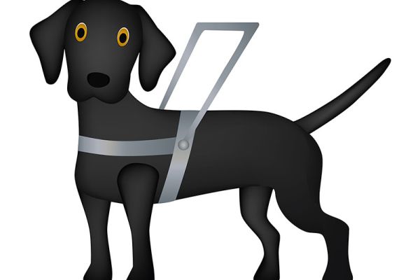 Scale mobili in servizio pubblico:  consentito l’accesso ai cani guida