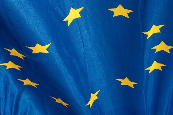 COVID-19, nuova videoconferenza per Efesme